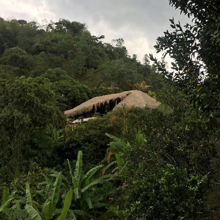 Hotel Green Ecologico ลาเบกา ภายนอก รูปภาพ