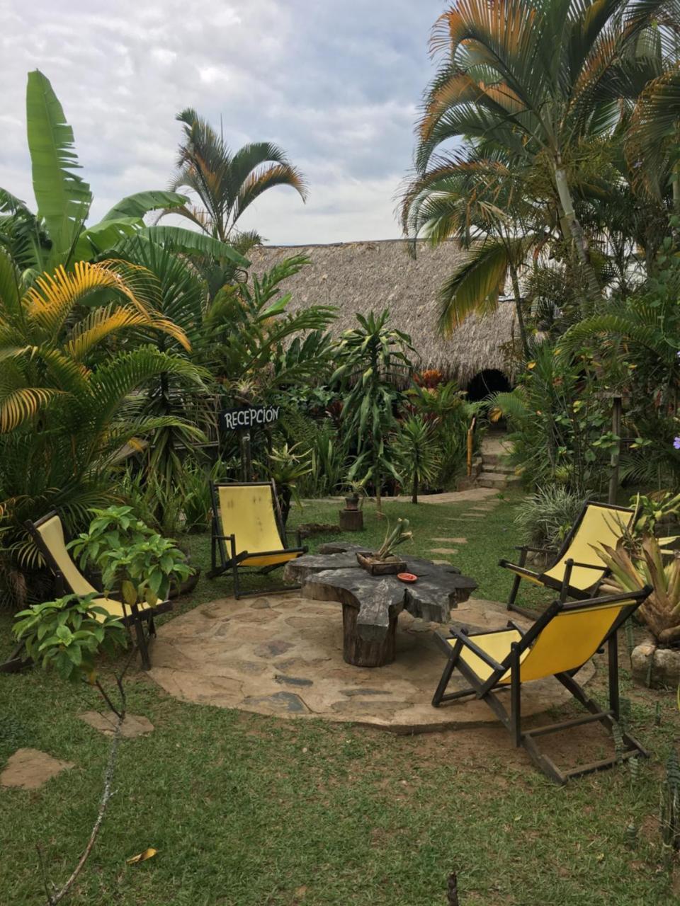 Hotel Green Ecologico ลาเบกา ภายนอก รูปภาพ