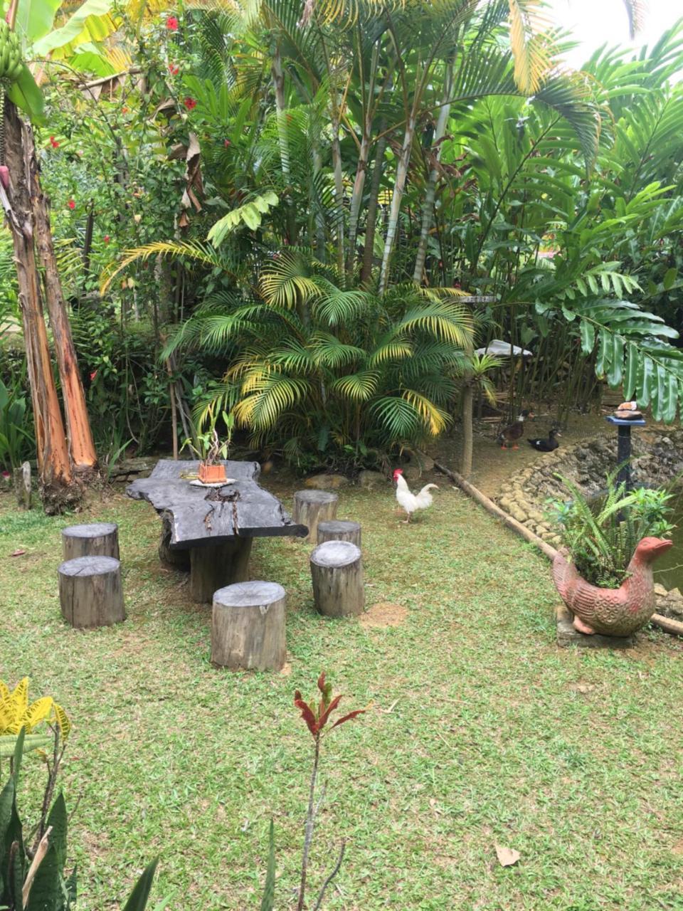 Hotel Green Ecologico ลาเบกา ภายนอก รูปภาพ