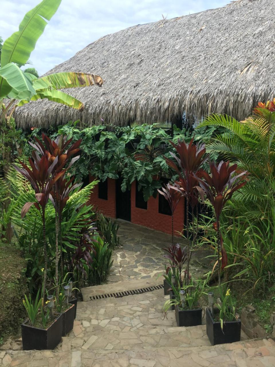 Hotel Green Ecologico ลาเบกา ภายนอก รูปภาพ