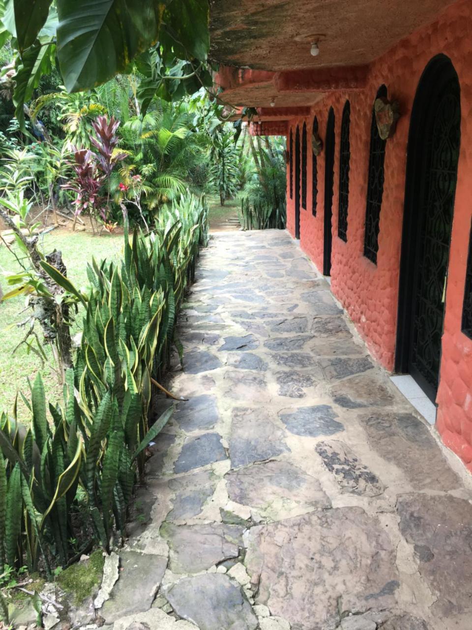 Hotel Green Ecologico ลาเบกา ภายนอก รูปภาพ