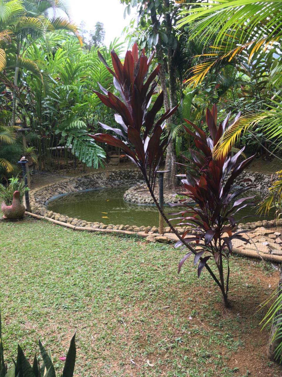 Hotel Green Ecologico ลาเบกา ภายนอก รูปภาพ