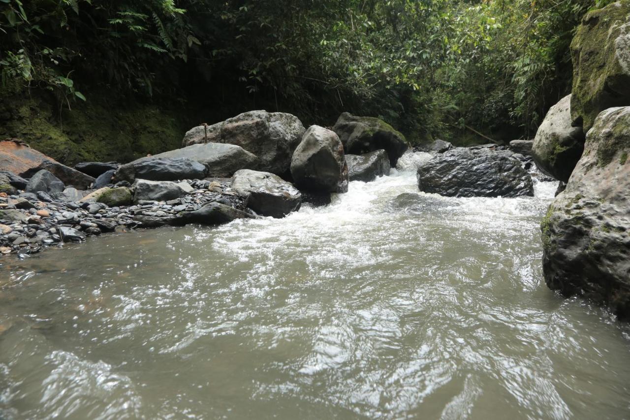 Hotel Green Ecologico ลาเบกา ภายนอก รูปภาพ