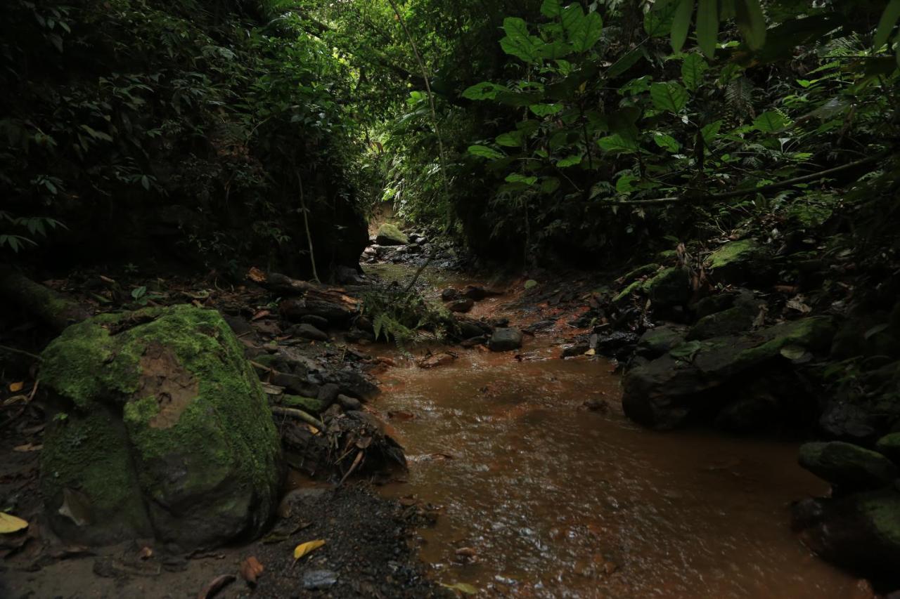 Hotel Green Ecologico ลาเบกา ภายนอก รูปภาพ